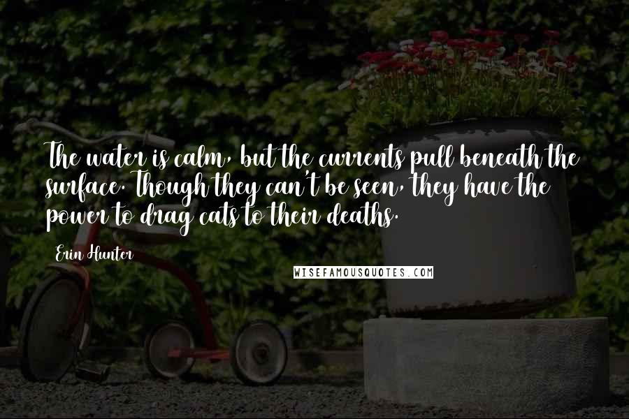Erin Hunter Quotes: The water is calm, but the currents pull beneath the surface. Though they can't be seen, they have the power to drag cats to their deaths.