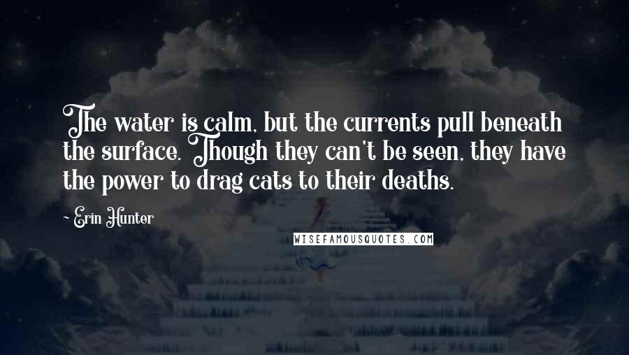 Erin Hunter Quotes: The water is calm, but the currents pull beneath the surface. Though they can't be seen, they have the power to drag cats to their deaths.