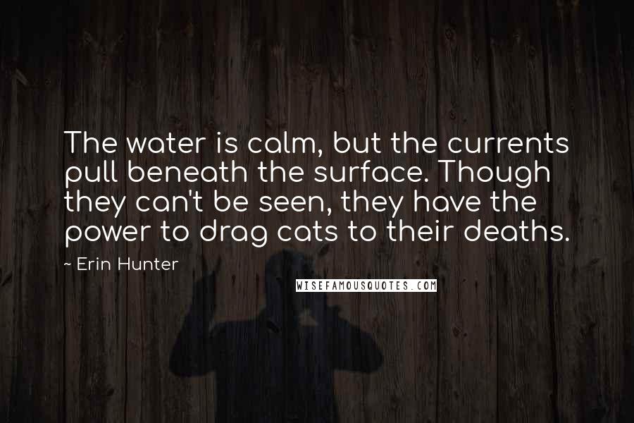 Erin Hunter Quotes: The water is calm, but the currents pull beneath the surface. Though they can't be seen, they have the power to drag cats to their deaths.