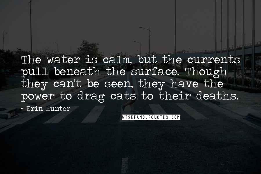 Erin Hunter Quotes: The water is calm, but the currents pull beneath the surface. Though they can't be seen, they have the power to drag cats to their deaths.