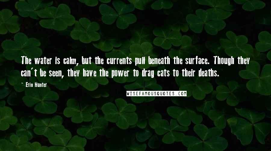 Erin Hunter Quotes: The water is calm, but the currents pull beneath the surface. Though they can't be seen, they have the power to drag cats to their deaths.