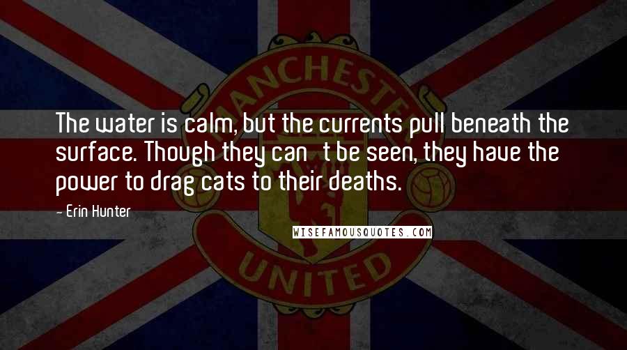 Erin Hunter Quotes: The water is calm, but the currents pull beneath the surface. Though they can't be seen, they have the power to drag cats to their deaths.