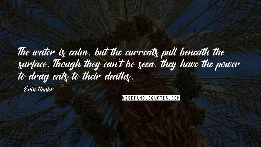 Erin Hunter Quotes: The water is calm, but the currents pull beneath the surface. Though they can't be seen, they have the power to drag cats to their deaths.