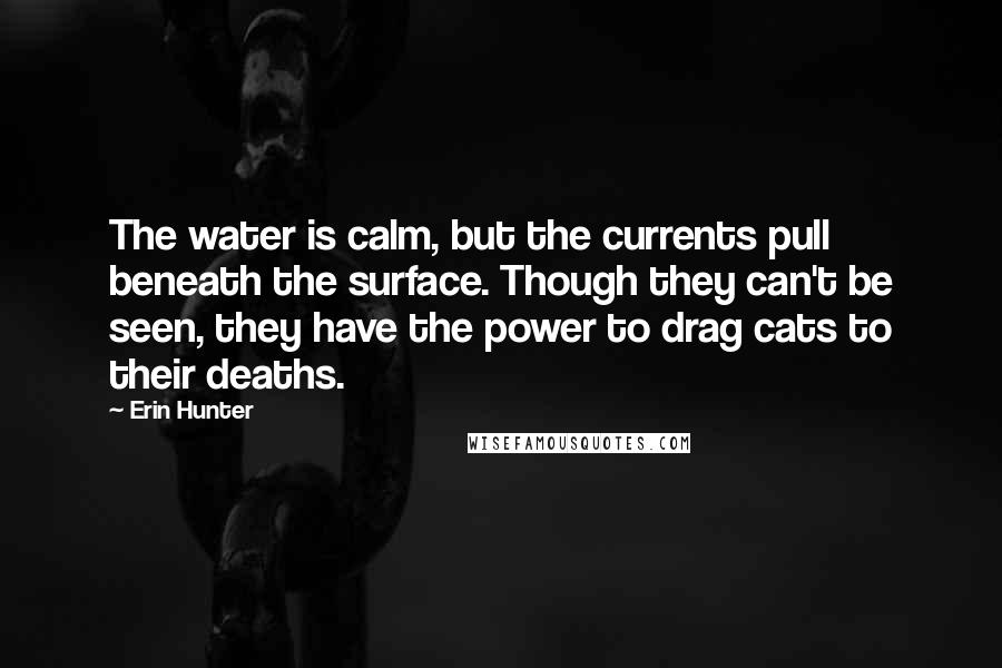 Erin Hunter Quotes: The water is calm, but the currents pull beneath the surface. Though they can't be seen, they have the power to drag cats to their deaths.