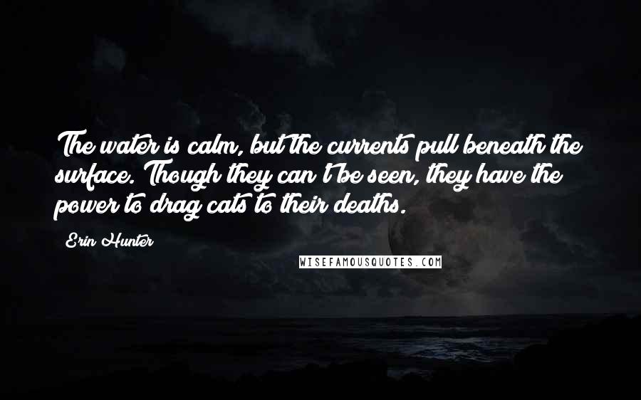 Erin Hunter Quotes: The water is calm, but the currents pull beneath the surface. Though they can't be seen, they have the power to drag cats to their deaths.