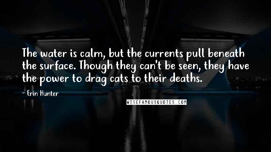 Erin Hunter Quotes: The water is calm, but the currents pull beneath the surface. Though they can't be seen, they have the power to drag cats to their deaths.