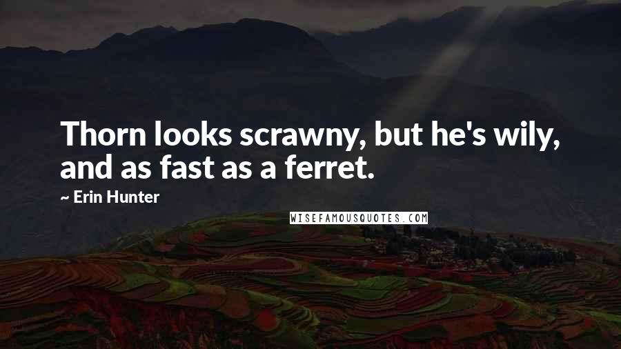 Erin Hunter Quotes: Thorn looks scrawny, but he's wily, and as fast as a ferret.