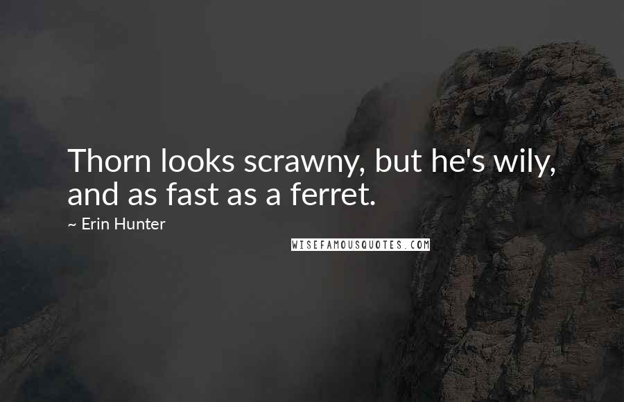 Erin Hunter Quotes: Thorn looks scrawny, but he's wily, and as fast as a ferret.