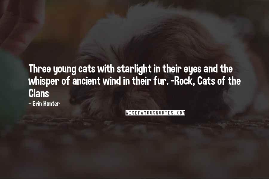 Erin Hunter Quotes: Three young cats with starlight in their eyes and the whisper of ancient wind in their fur. -Rock, Cats of the Clans
