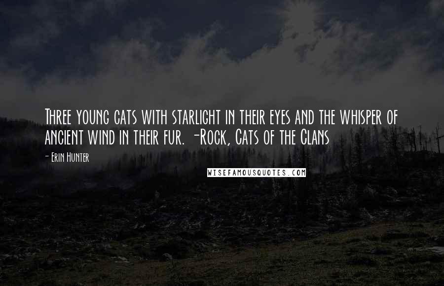 Erin Hunter Quotes: Three young cats with starlight in their eyes and the whisper of ancient wind in their fur. -Rock, Cats of the Clans