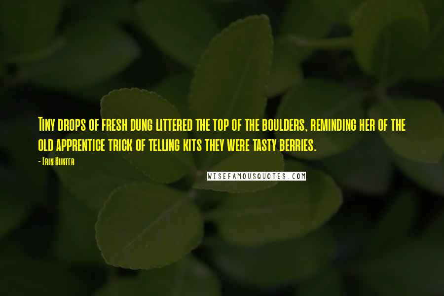 Erin Hunter Quotes: Tiny drops of fresh dung littered the top of the boulders, reminding her of the old apprentice trick of telling kits they were tasty berries.