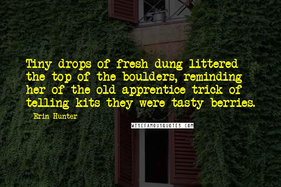 Erin Hunter Quotes: Tiny drops of fresh dung littered the top of the boulders, reminding her of the old apprentice trick of telling kits they were tasty berries.