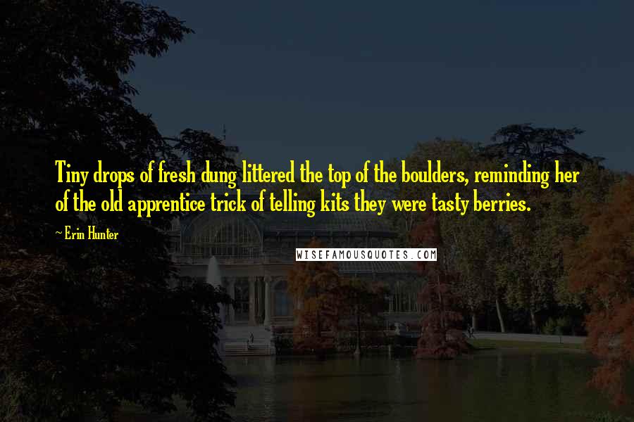 Erin Hunter Quotes: Tiny drops of fresh dung littered the top of the boulders, reminding her of the old apprentice trick of telling kits they were tasty berries.