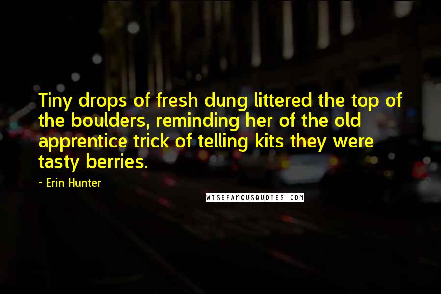 Erin Hunter Quotes: Tiny drops of fresh dung littered the top of the boulders, reminding her of the old apprentice trick of telling kits they were tasty berries.