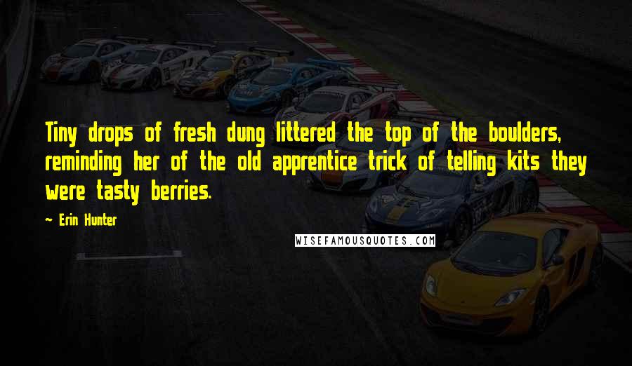 Erin Hunter Quotes: Tiny drops of fresh dung littered the top of the boulders, reminding her of the old apprentice trick of telling kits they were tasty berries.