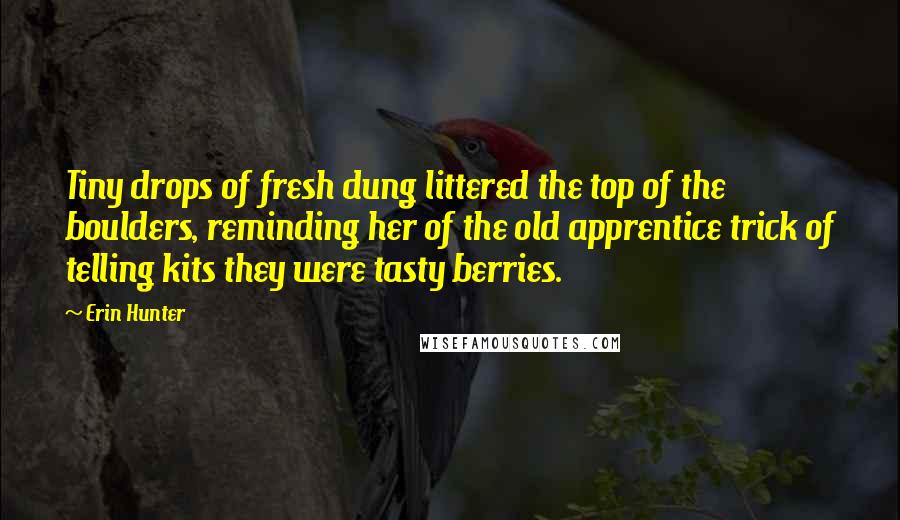 Erin Hunter Quotes: Tiny drops of fresh dung littered the top of the boulders, reminding her of the old apprentice trick of telling kits they were tasty berries.