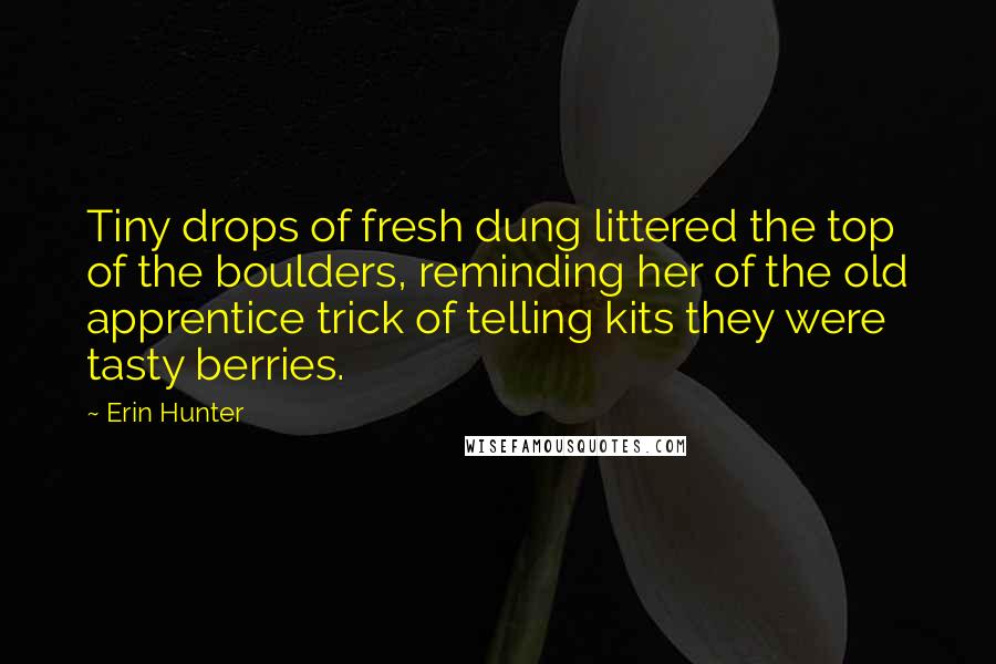 Erin Hunter Quotes: Tiny drops of fresh dung littered the top of the boulders, reminding her of the old apprentice trick of telling kits they were tasty berries.