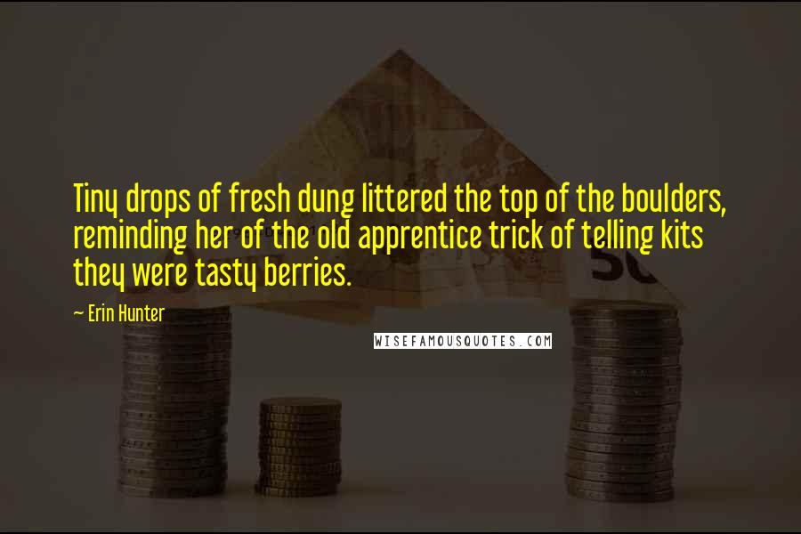 Erin Hunter Quotes: Tiny drops of fresh dung littered the top of the boulders, reminding her of the old apprentice trick of telling kits they were tasty berries.