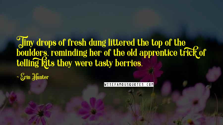 Erin Hunter Quotes: Tiny drops of fresh dung littered the top of the boulders, reminding her of the old apprentice trick of telling kits they were tasty berries.