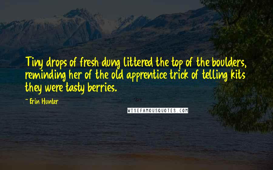 Erin Hunter Quotes: Tiny drops of fresh dung littered the top of the boulders, reminding her of the old apprentice trick of telling kits they were tasty berries.