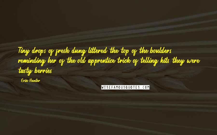 Erin Hunter Quotes: Tiny drops of fresh dung littered the top of the boulders, reminding her of the old apprentice trick of telling kits they were tasty berries.