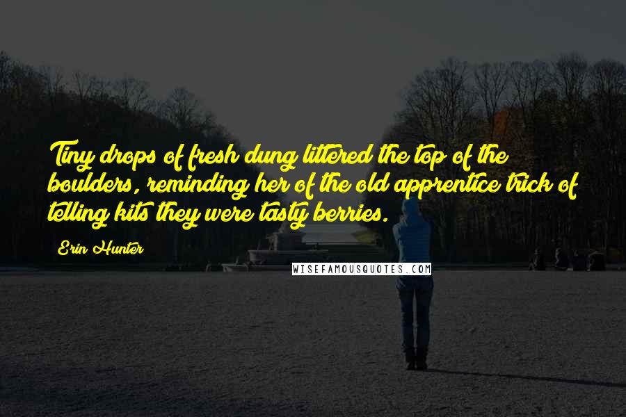 Erin Hunter Quotes: Tiny drops of fresh dung littered the top of the boulders, reminding her of the old apprentice trick of telling kits they were tasty berries.
