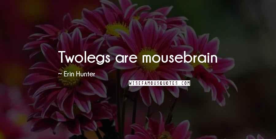 Erin Hunter Quotes: Twolegs are mousebrain