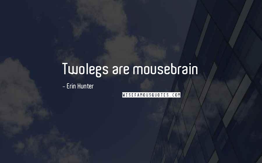 Erin Hunter Quotes: Twolegs are mousebrain