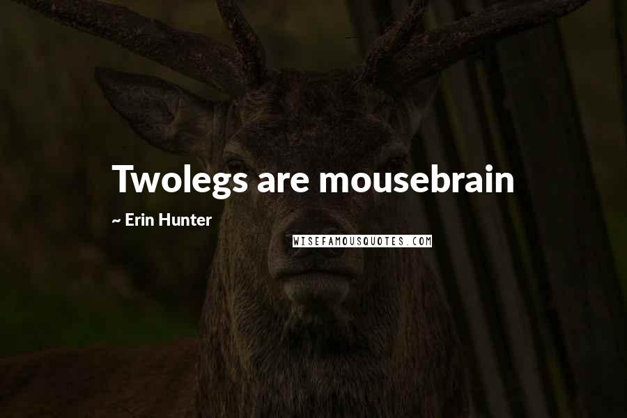 Erin Hunter Quotes: Twolegs are mousebrain