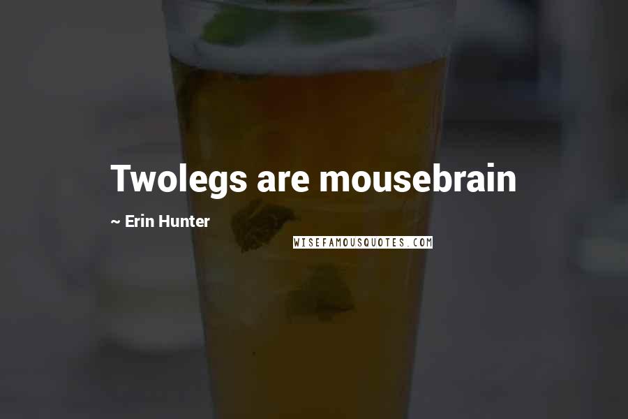 Erin Hunter Quotes: Twolegs are mousebrain
