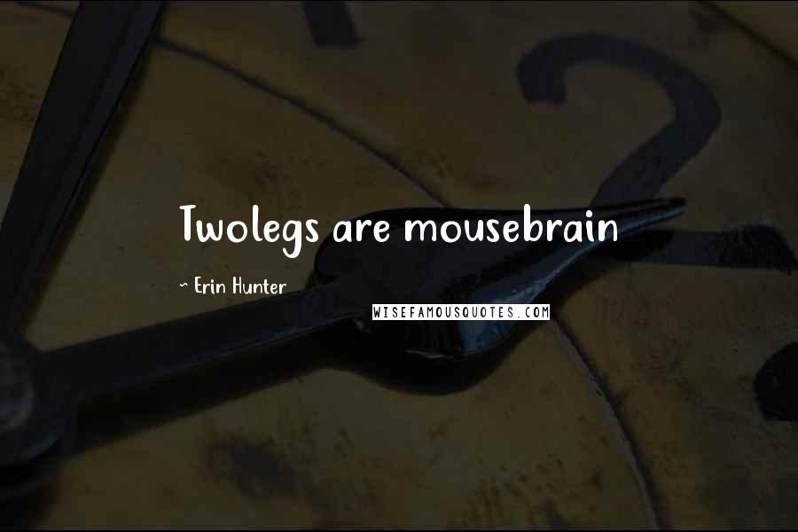 Erin Hunter Quotes: Twolegs are mousebrain