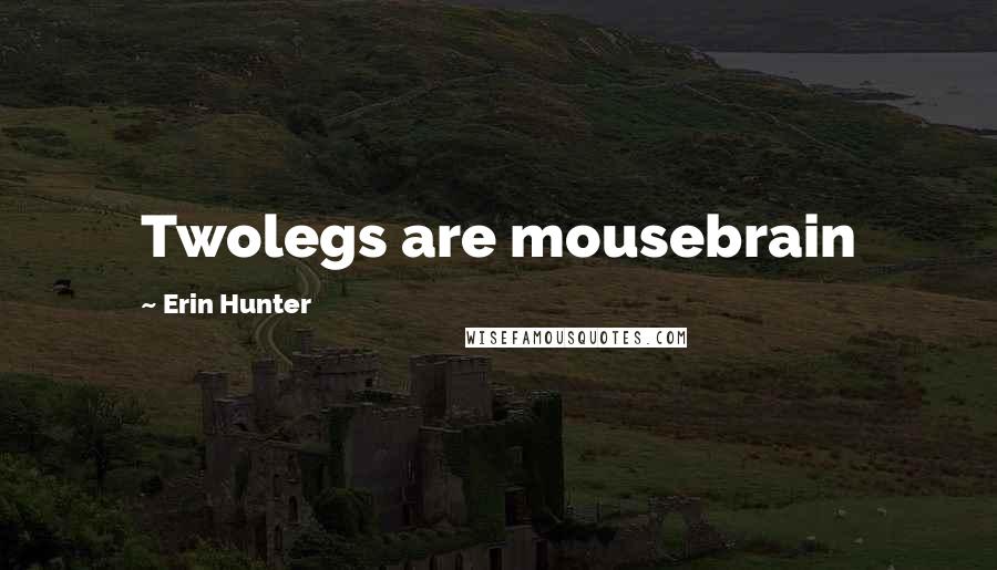 Erin Hunter Quotes: Twolegs are mousebrain