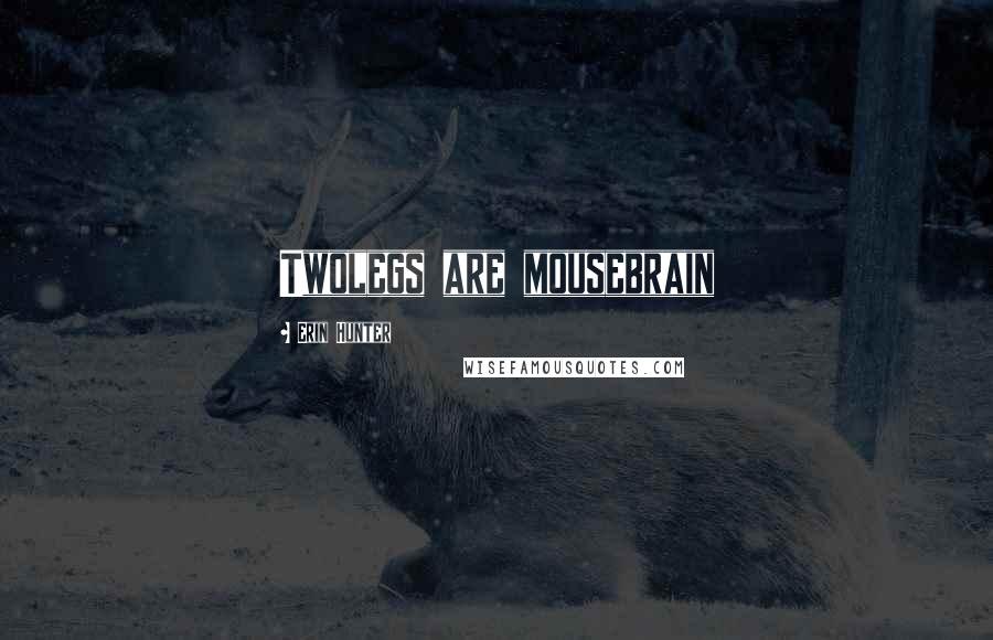 Erin Hunter Quotes: Twolegs are mousebrain