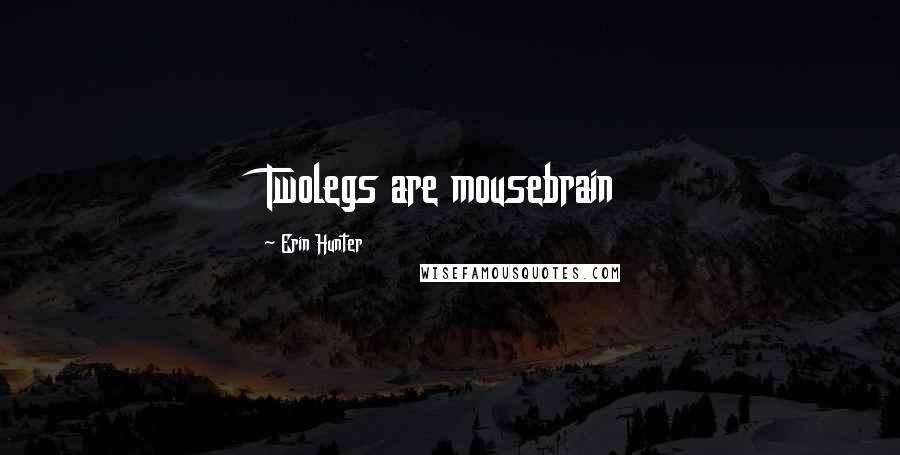Erin Hunter Quotes: Twolegs are mousebrain