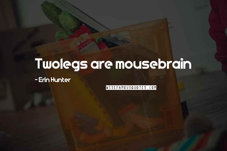 Erin Hunter Quotes: Twolegs are mousebrain