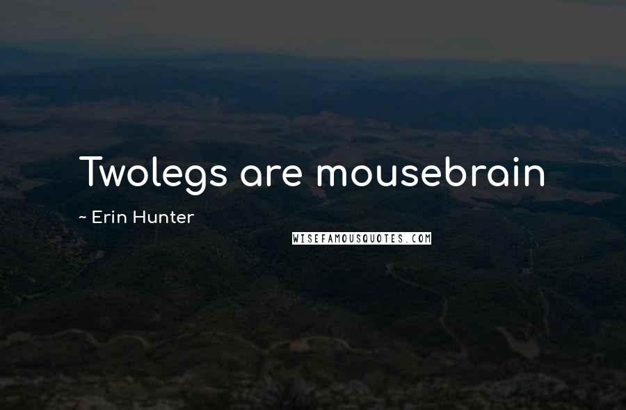 Erin Hunter Quotes: Twolegs are mousebrain