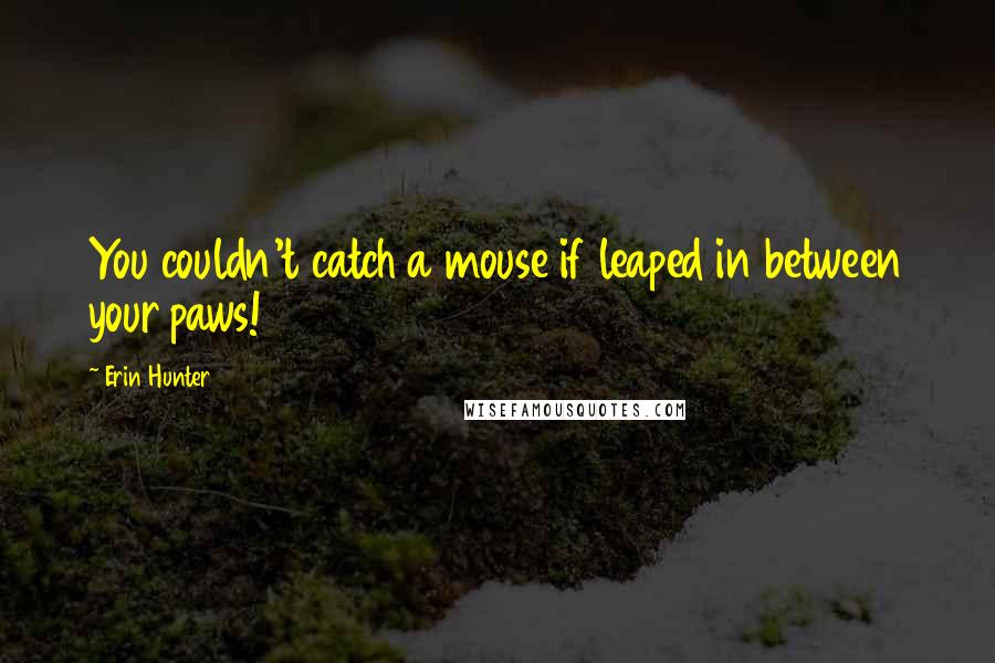 Erin Hunter Quotes: You couldn't catch a mouse if leaped in between your paws!