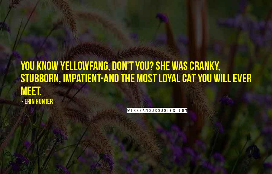 Erin Hunter Quotes: You know Yellowfang, don't you? she was cranky, stubborn, impatient-and the most loyal cat you will ever meet.