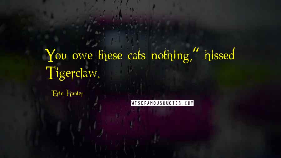 Erin Hunter Quotes: You owe these cats nothing," hissed Tigerclaw.