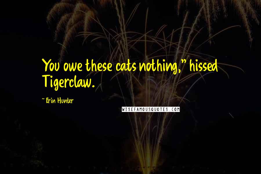 Erin Hunter Quotes: You owe these cats nothing," hissed Tigerclaw.