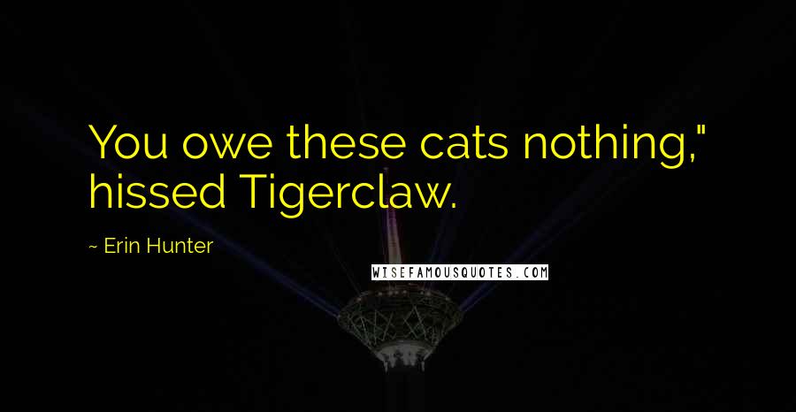 Erin Hunter Quotes: You owe these cats nothing," hissed Tigerclaw.