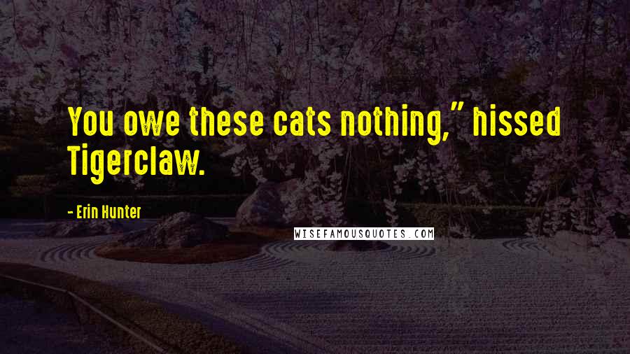 Erin Hunter Quotes: You owe these cats nothing," hissed Tigerclaw.