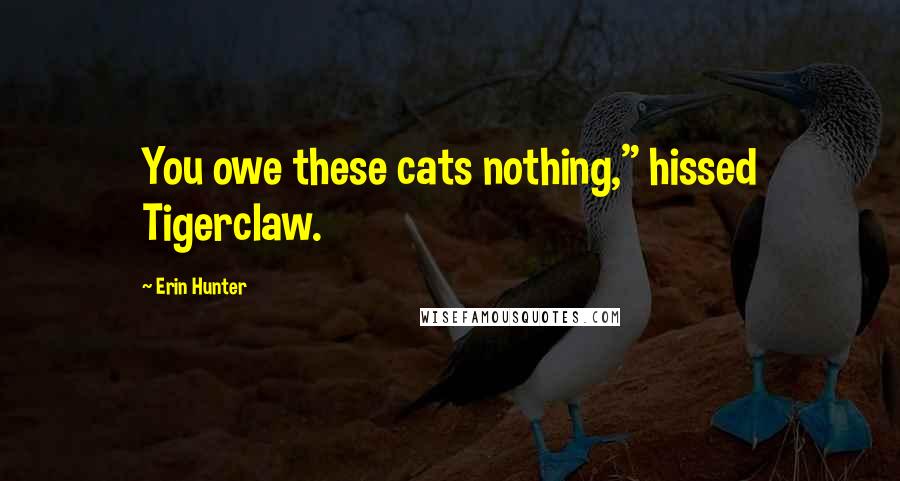Erin Hunter Quotes: You owe these cats nothing," hissed Tigerclaw.