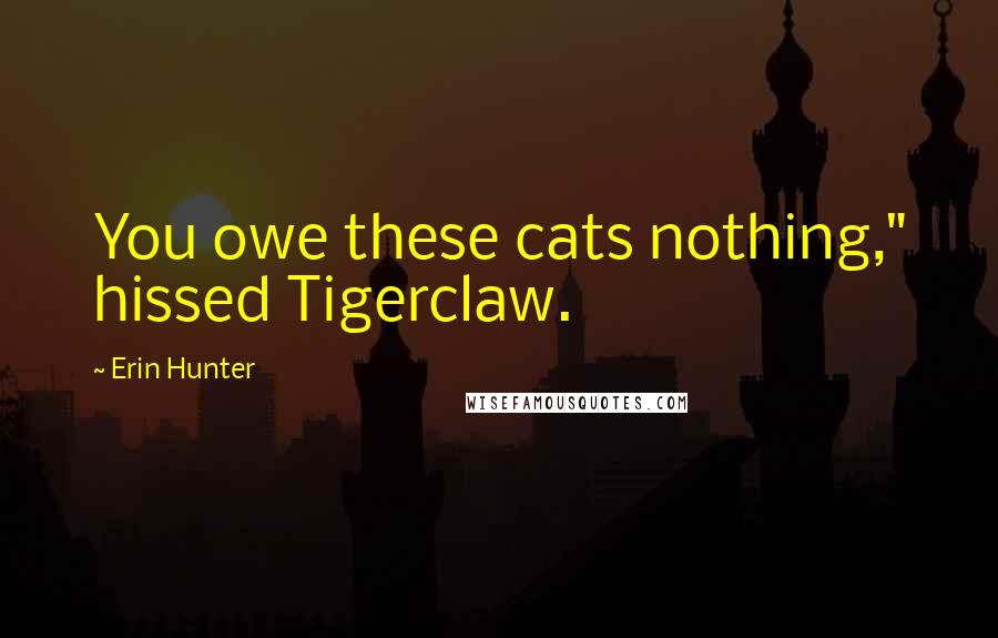 Erin Hunter Quotes: You owe these cats nothing," hissed Tigerclaw.