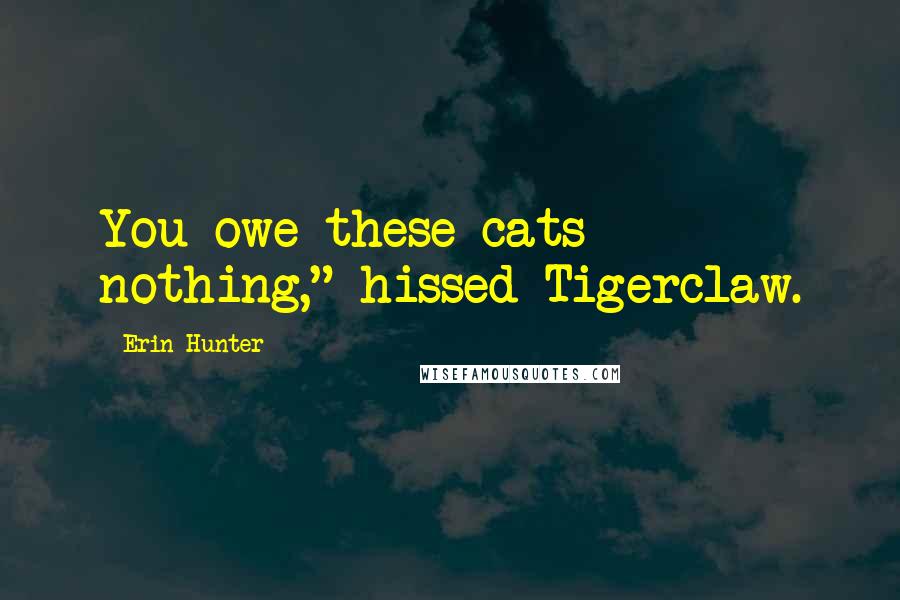 Erin Hunter Quotes: You owe these cats nothing," hissed Tigerclaw.