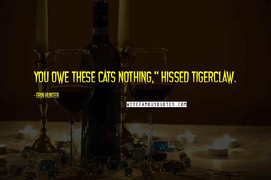 Erin Hunter Quotes: You owe these cats nothing," hissed Tigerclaw.