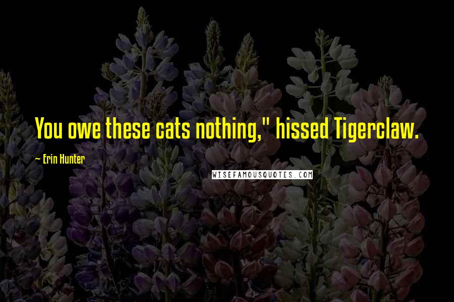 Erin Hunter Quotes: You owe these cats nothing," hissed Tigerclaw.