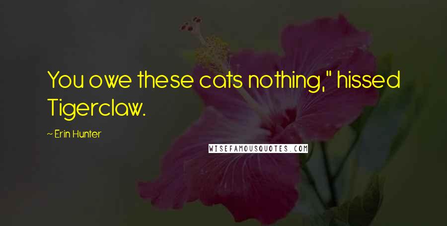 Erin Hunter Quotes: You owe these cats nothing," hissed Tigerclaw.