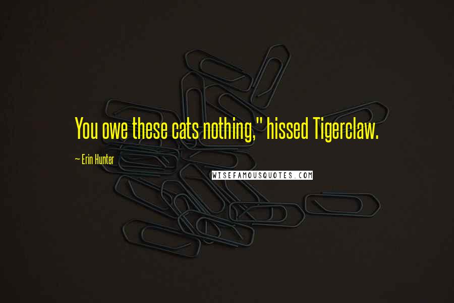 Erin Hunter Quotes: You owe these cats nothing," hissed Tigerclaw.