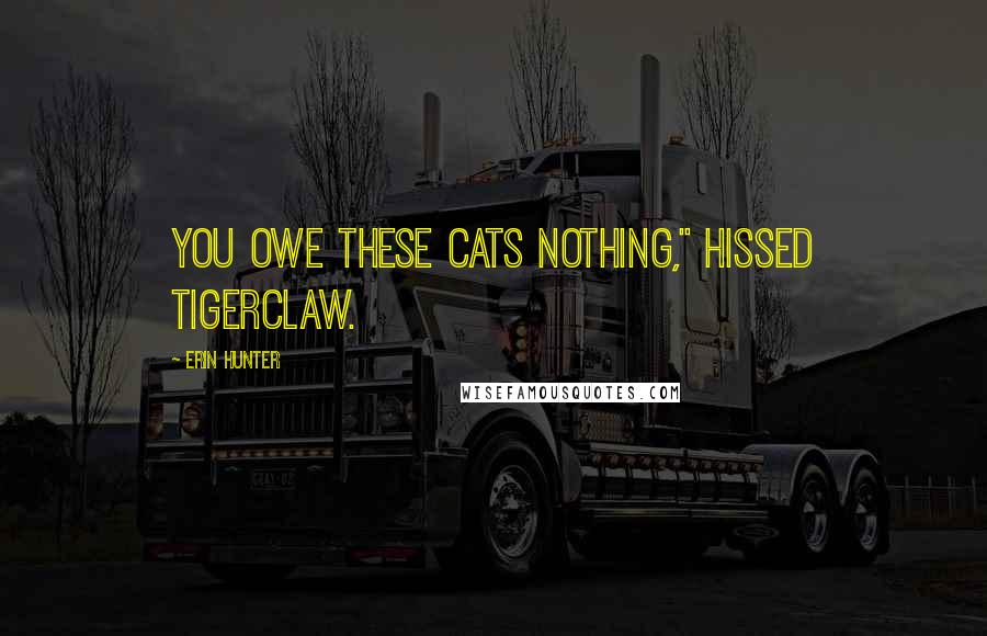 Erin Hunter Quotes: You owe these cats nothing," hissed Tigerclaw.